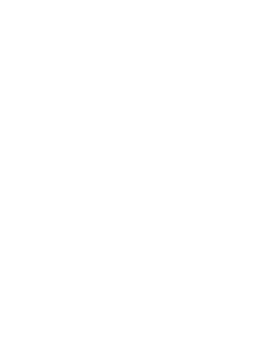 Layer_1